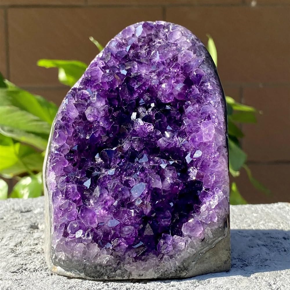 MDBJTCYZN Decorative Ornaments Amethyst geode Quartz Cluster Crystal (Size : 800-850g)