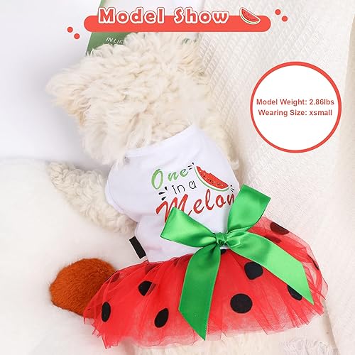 Miniatura 3 de Vestido tutú para perro, ropa para perros pequeños y niñas, vestidos de princesa para perros de verano, disfraces de fiesta para cachorros, trajes