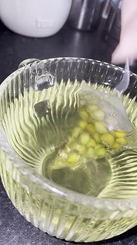 Nutri-Align Sels De Jeûne Electrolytes 120 Gélules | Électrolytes De Sodium, De Potassium Et De Magnésium | Gélules D'électrolytes Purs Pour Jeûne Prolongé Et Intermittent | Sans Sucre