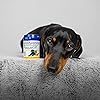 Product Photo 8