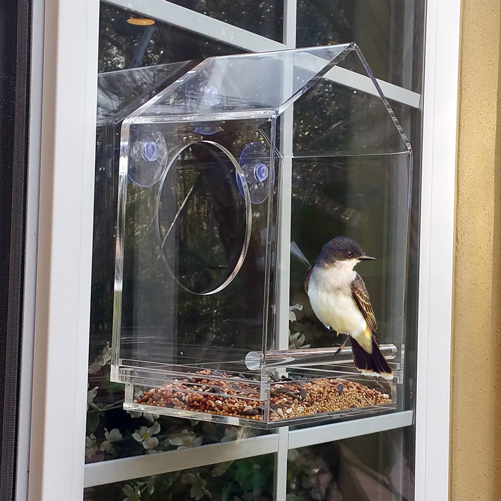 Amazon.com : OnDisplay Window Mounted Clear Acrylic Bird House