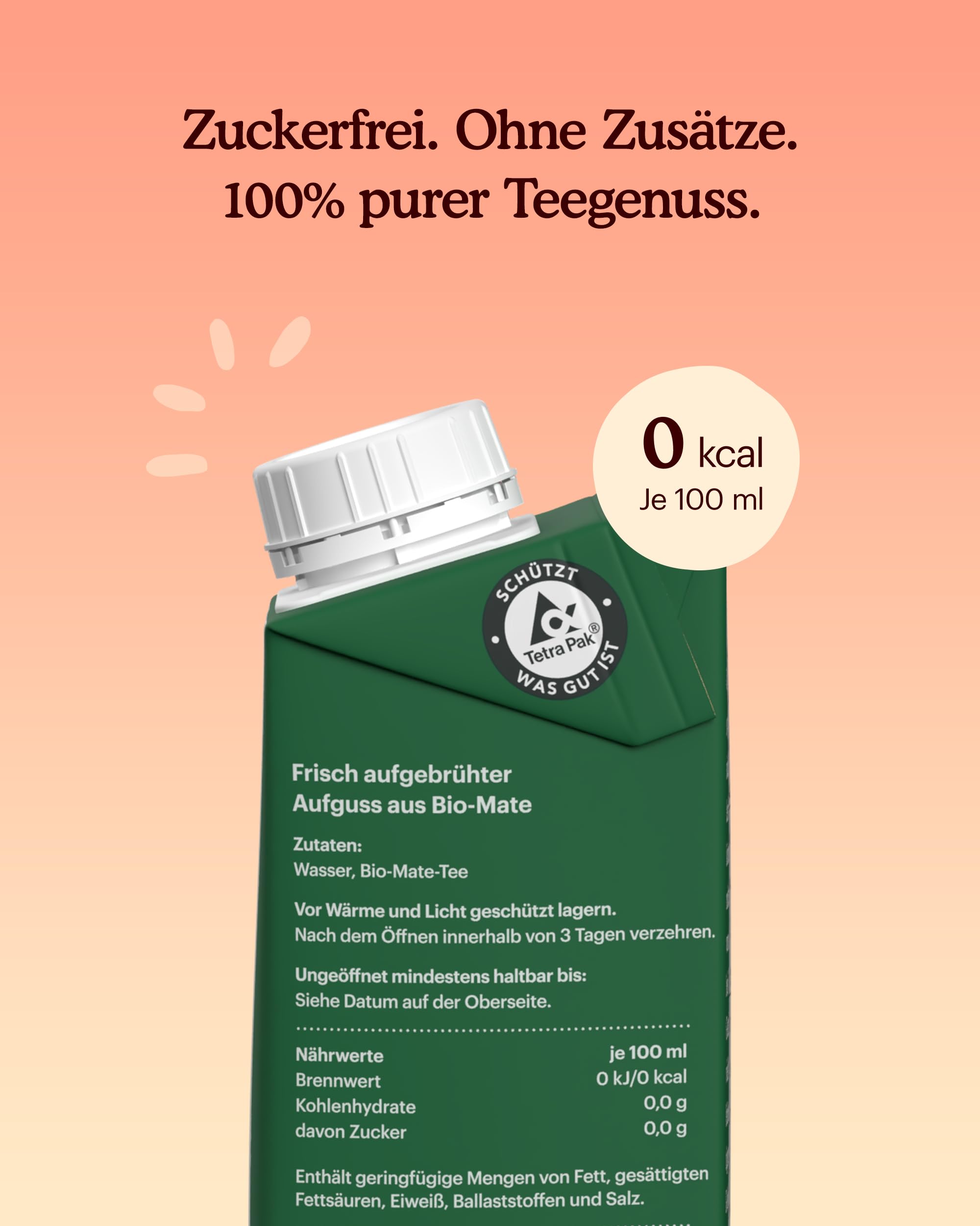 Mate Tee Bio - To Go Trinkfertig & Zuckerfrei - 24x200ml - Blumiger Geschmack der Erva Mate - Zero Kalorien - 100% Pur und Frisch Gebrüht - Fair - Koffeinhaltig