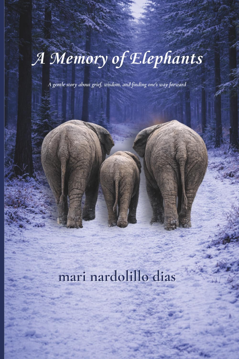 A Memory of Elephants: A gentle story about grief, wisdom, and finding one's way forward