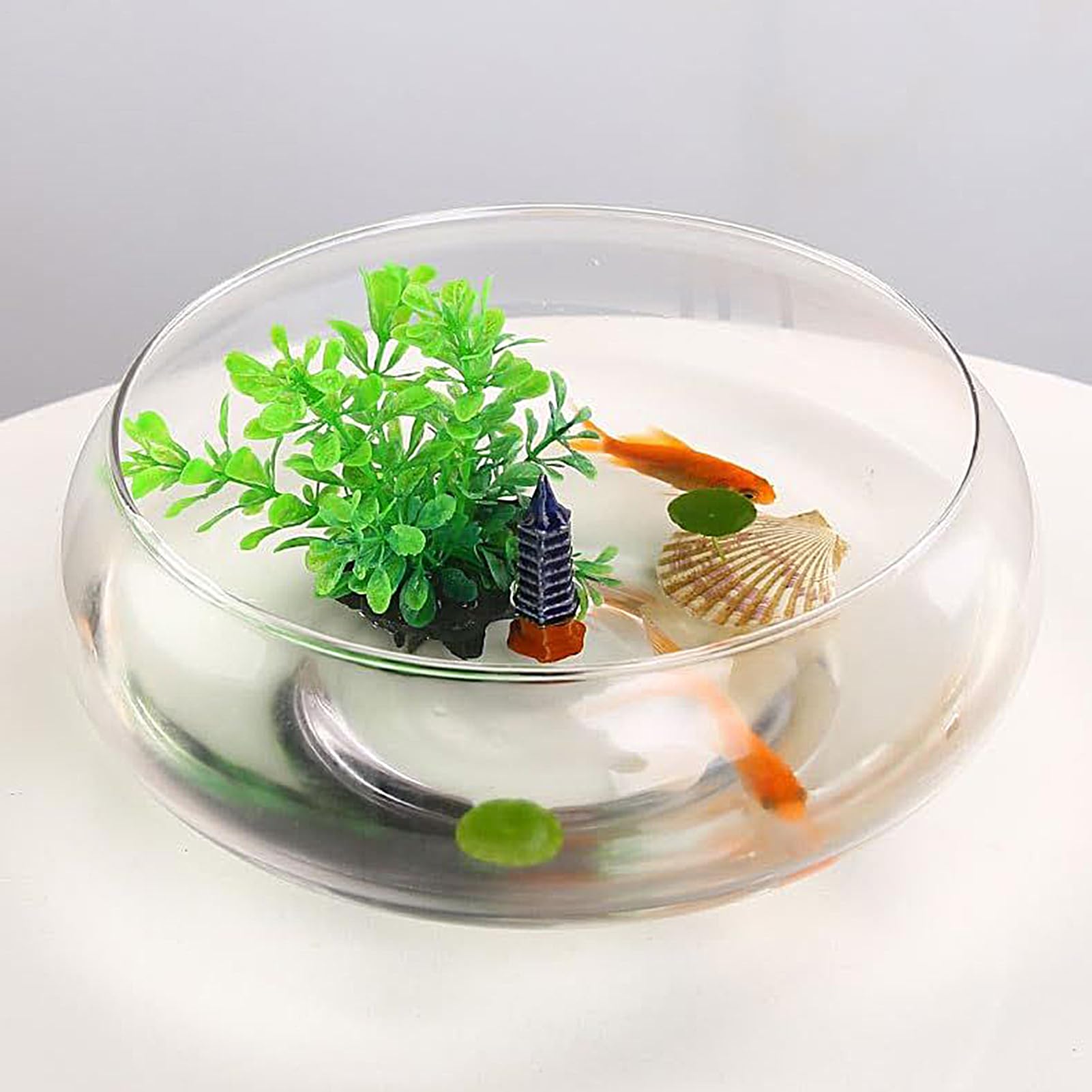 Pecera de, Maceta Grande para suculentas, Cuenco y Ancho para decoración de Interiores del hogar, centros de Mesa, Plantas, bonsái, suculentas, exhibición de Flores