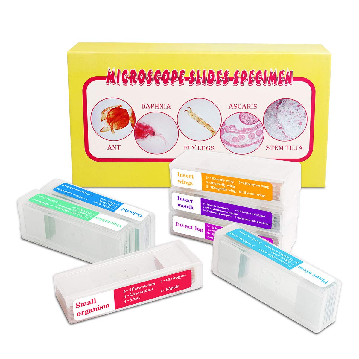 Prepared Microscope Slides for Kids, 48pcs Plastic Animals Insects Plants Flowers Sample Specimens for Students Children Homeschooling Biology Science Programs