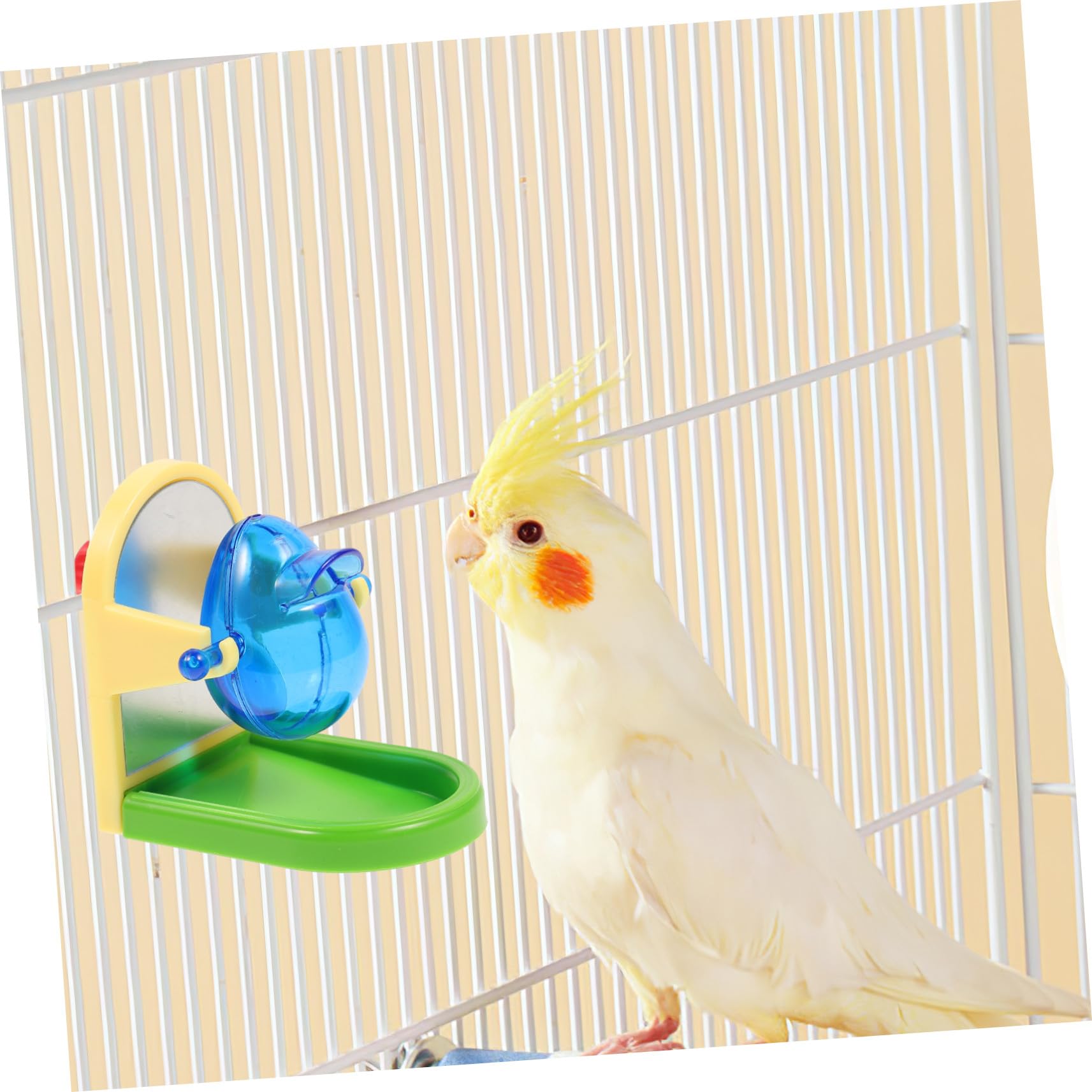 Distributeur de Nourriture Couleur Aléatoire pour Oiseaux Jouet D'entraînement Simple en Métal et Plastique Divertissement et Alimentation pour Calopsittes et Perroquets