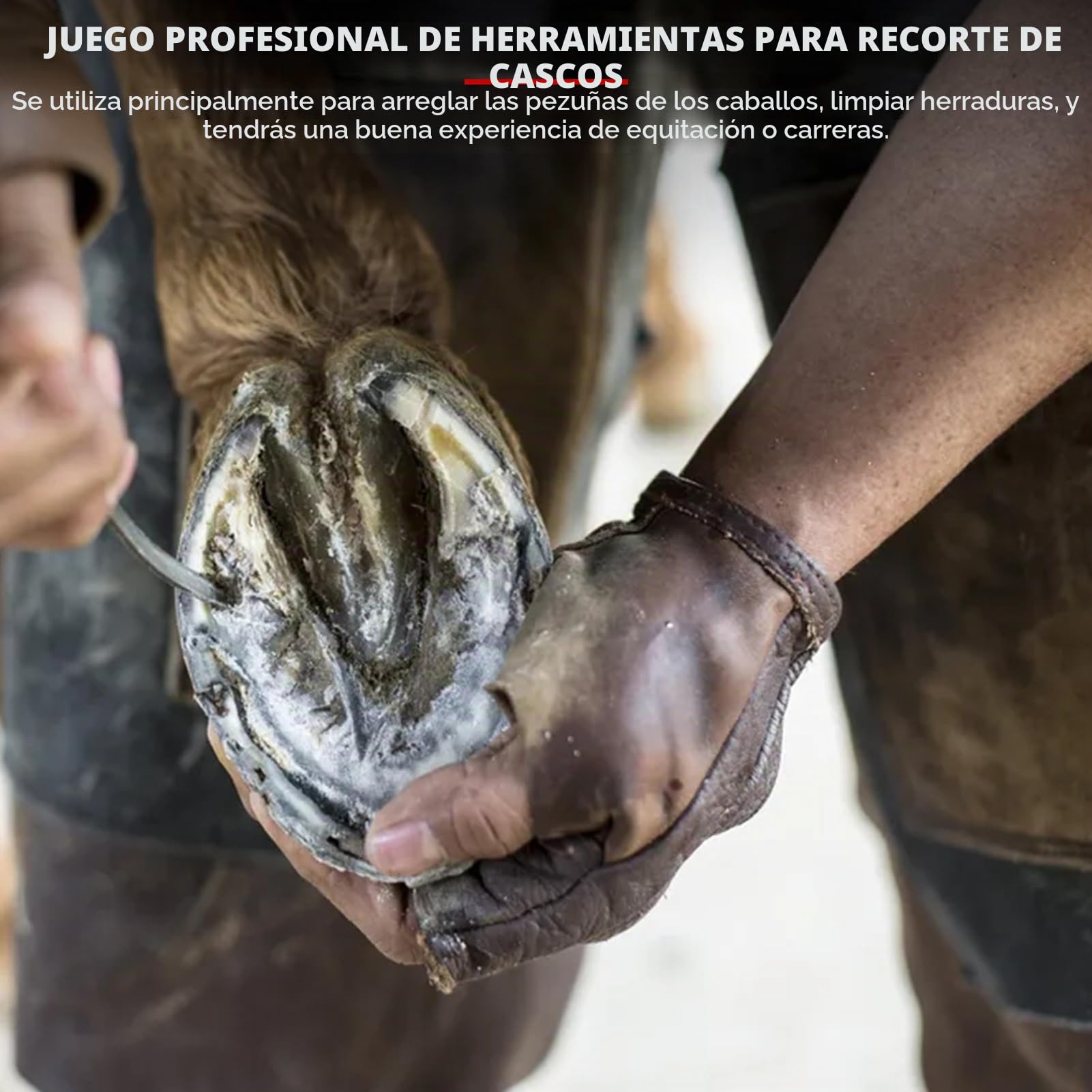 Herramienta de herrador de Caballos, 9 Piezas de Acero, Hierro, Herradura, Cortador de alicates, escofina para pezuñas de Caballo con Mango ergonómico, Martillo, Herramienta para pezuñas