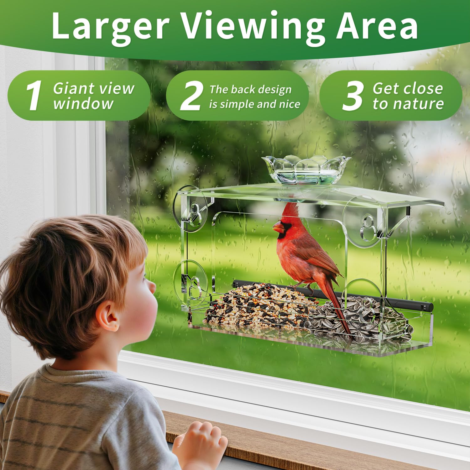 Clear Window Bird Feeder - Bird Watching -2 Clear Window Bird Feeder - Bird Watching -2