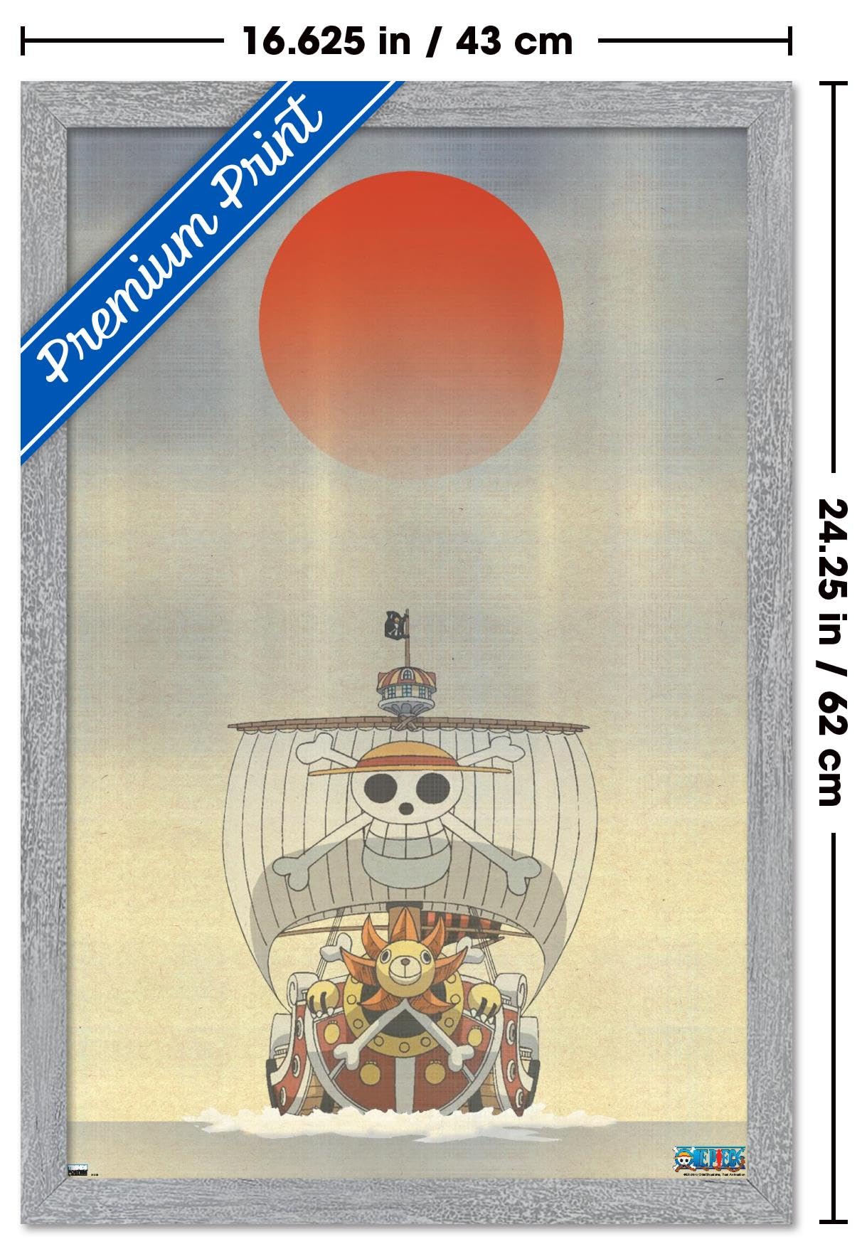 Amazon.com: One Piece - The Thousand Sunny Artistic Wall Poster