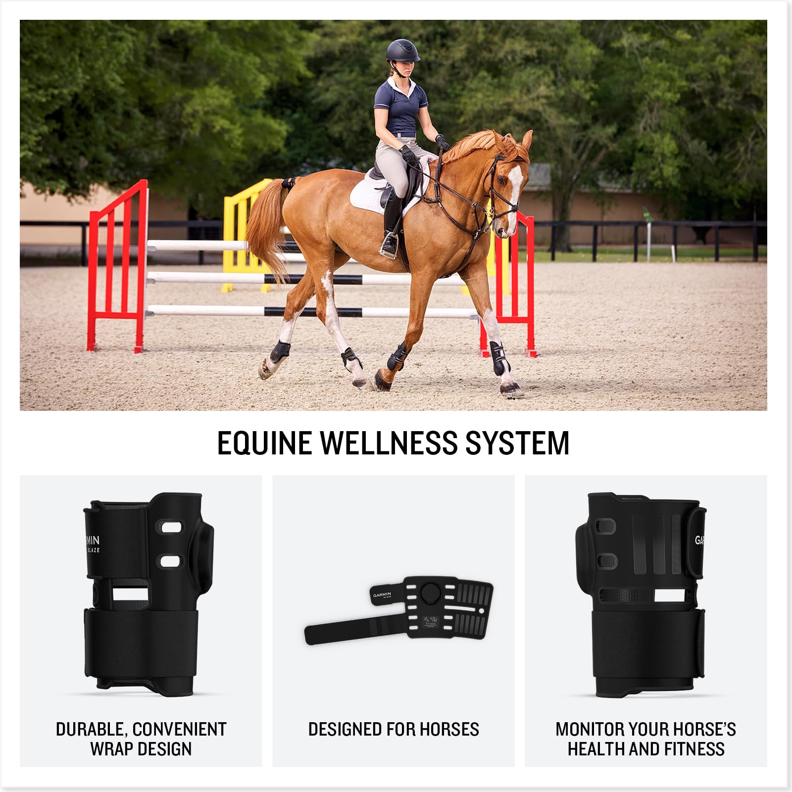 Garmin Blaze Equine Wellness System, avvolgimento e sensore per coda facili da usare, approfondimenti su salute e benessere