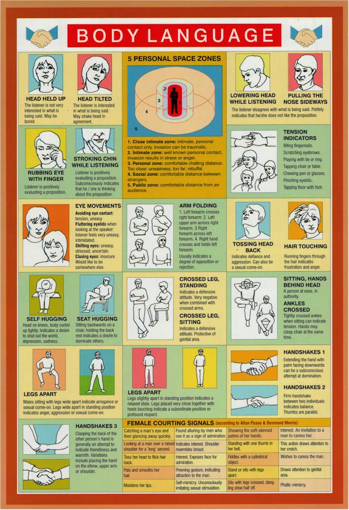 Amazon.com: Natures Energies Body Language Mini Chart Reference