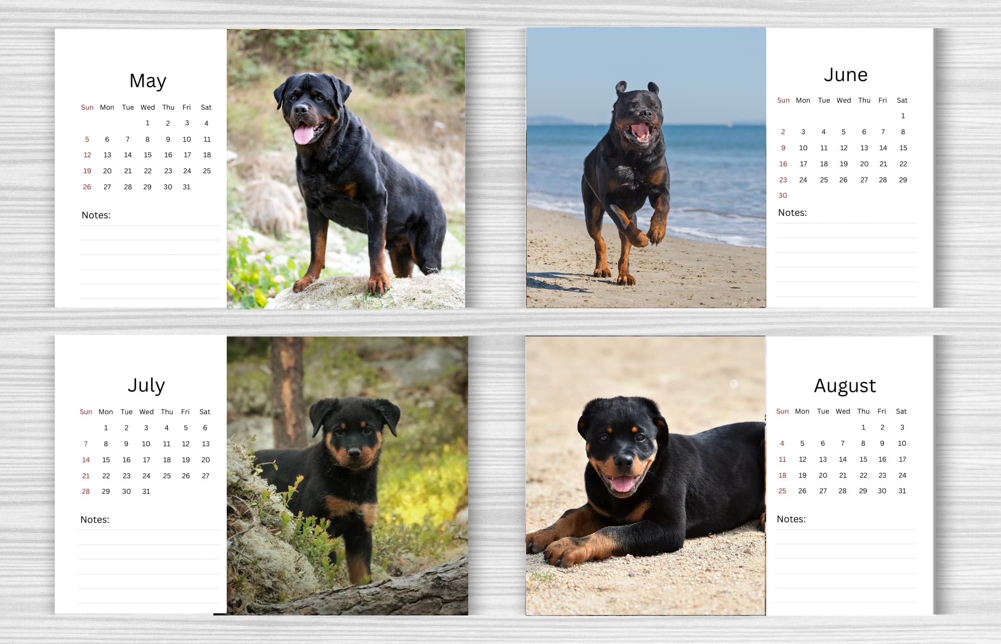 Calendario de escritorio 2026, calendario de escritorio 2026 con papel grueso, enero de 2026 a diciembre de 2026, 25,5 x 20,5 x 8 cm, encuadernación de doble alambre, bloques grandes sin rayas