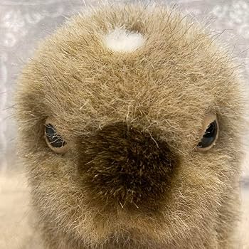Amazon.co.jp: やまね工房 野うさぎ ぬいぐるみ : おもちゃ