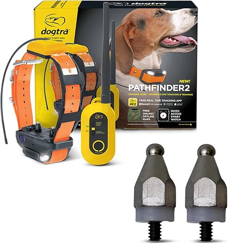 Dogtra Pathfinder 2 - Collar con rastreador GPS + puntos de contacto de titanio de 3/4 pulgadas | 9 millas, luz LED, sin tarifas mensuales,