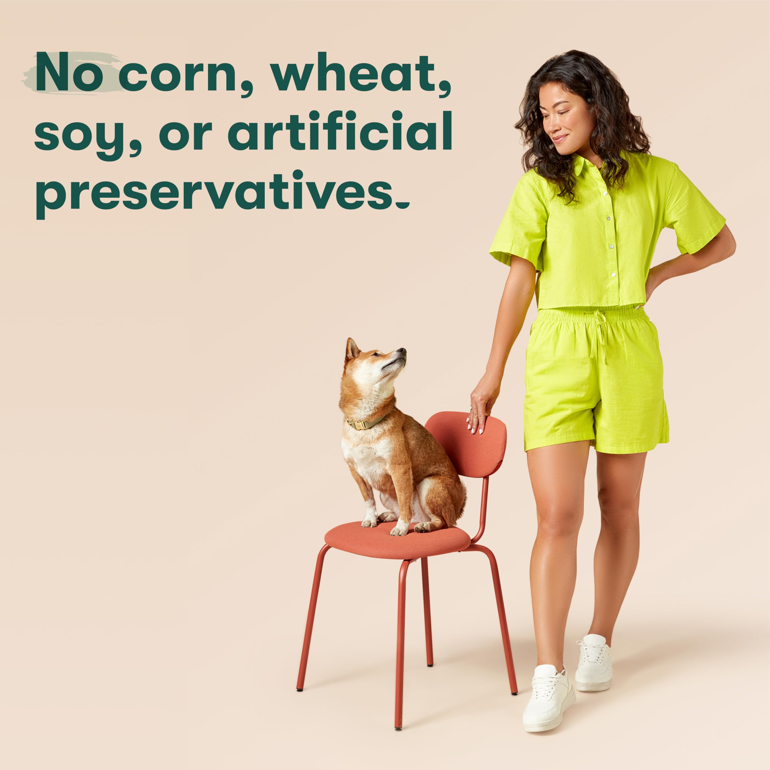 Jinx Kibble Sauce Chicken Bone Broth Sauce, 12 Oz