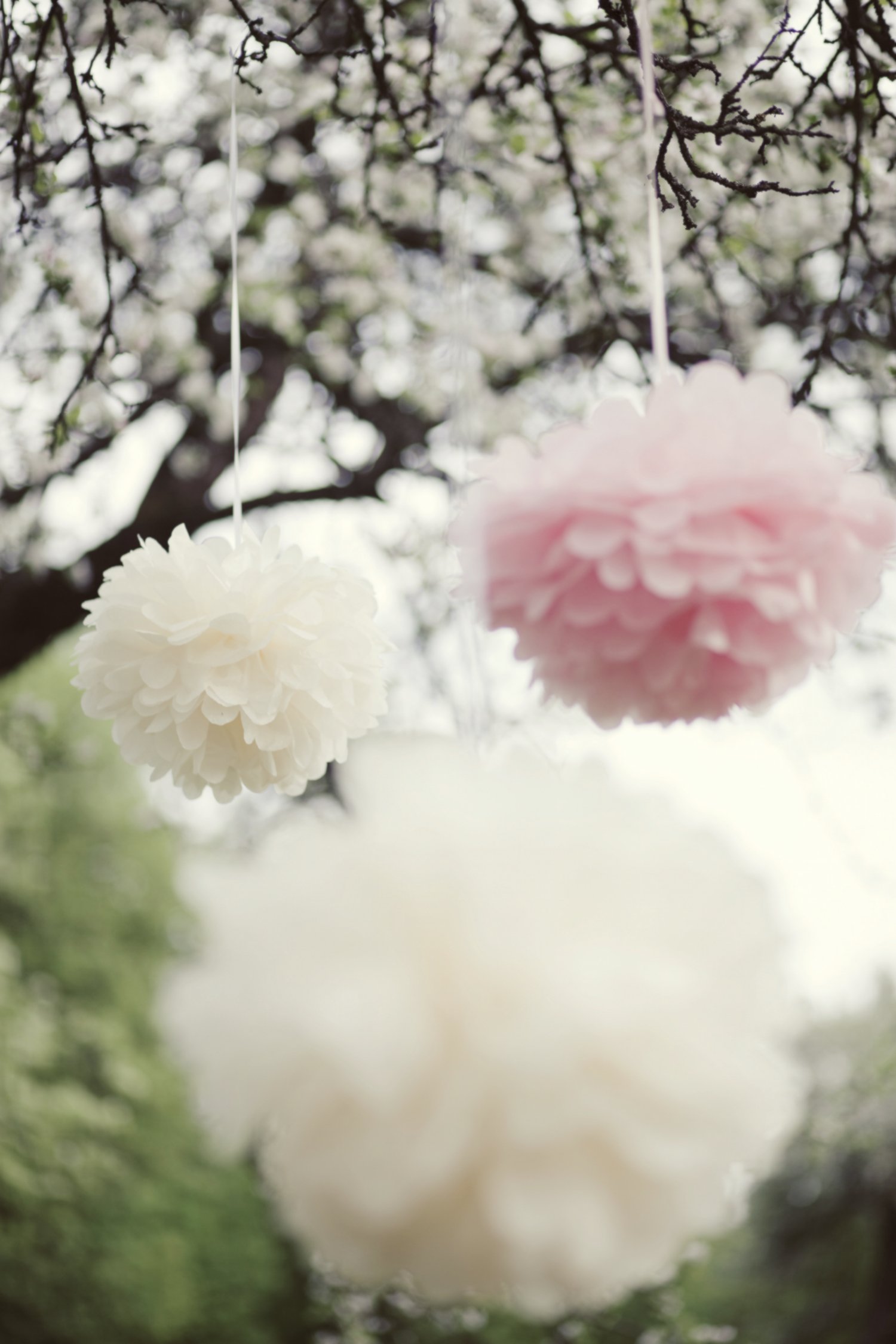 Decopompoms Ivory/Pink 6 Large Luxurious Tissue Paper Pom Poms Set - Light And