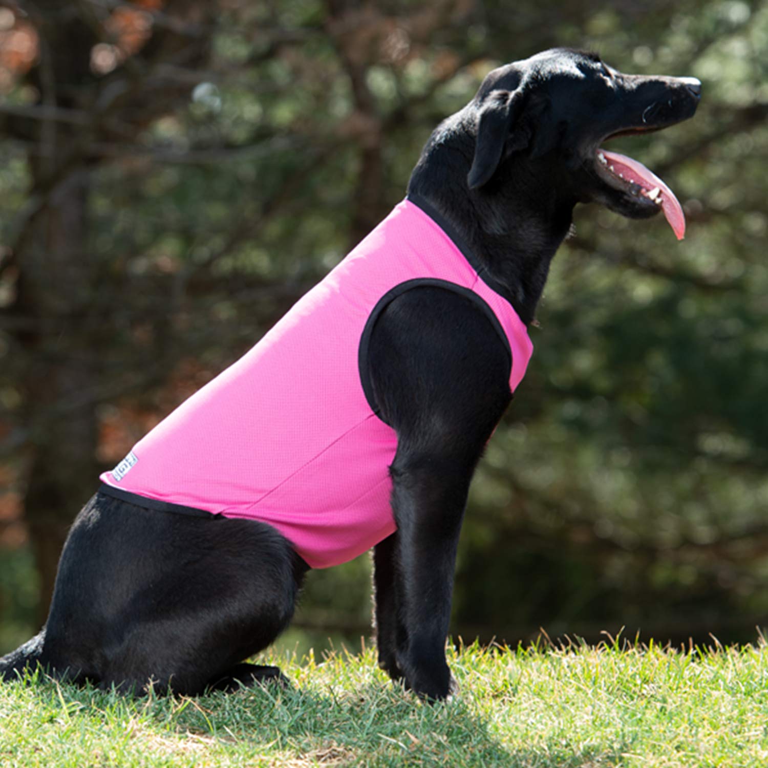 Terrain D.O.G. Gilet de Refroidissement 2 x Unisexe pour Chien Rose