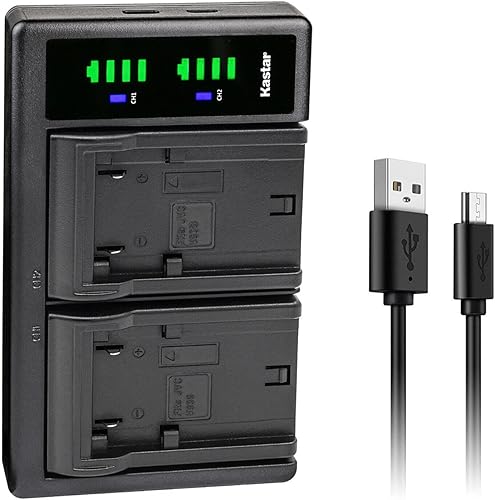 Kastar Reemplazo del cargador de batería USB LTD2 para JVC BN-VF808 BN-VF808U BN-VF815 BN-VF815U BN-VF915 BN-VF915U BN-VF823 BN-VF823U BN-VF923U,