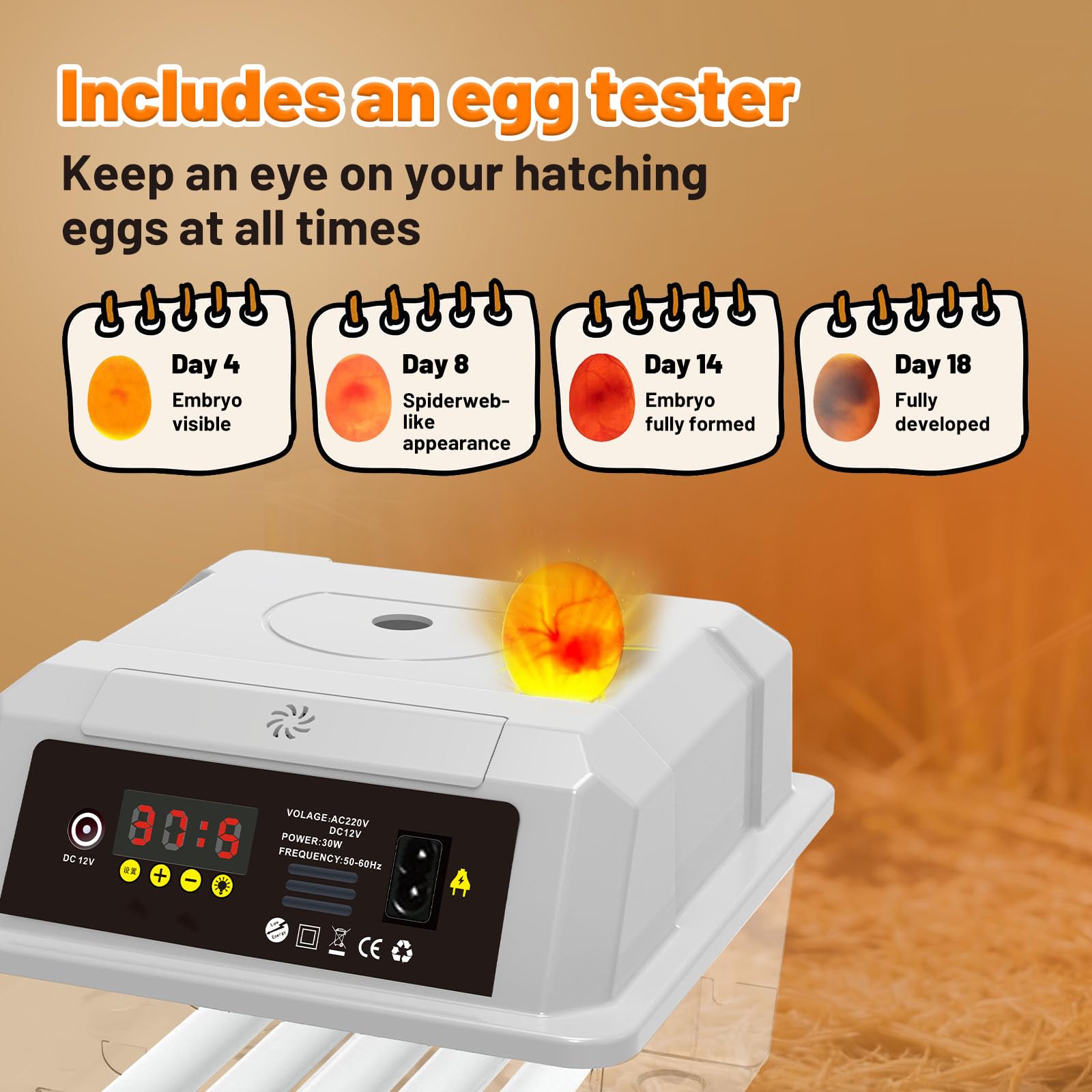 Incubatrice Per Uova Automatica Da 16 Uova – Girauova Automatico E Rabbocco Acqua Esterno, Incubatrice Per Uova Di Gallina Con Luce LED E Controllo Digitale Di Precisione Della Temperatura