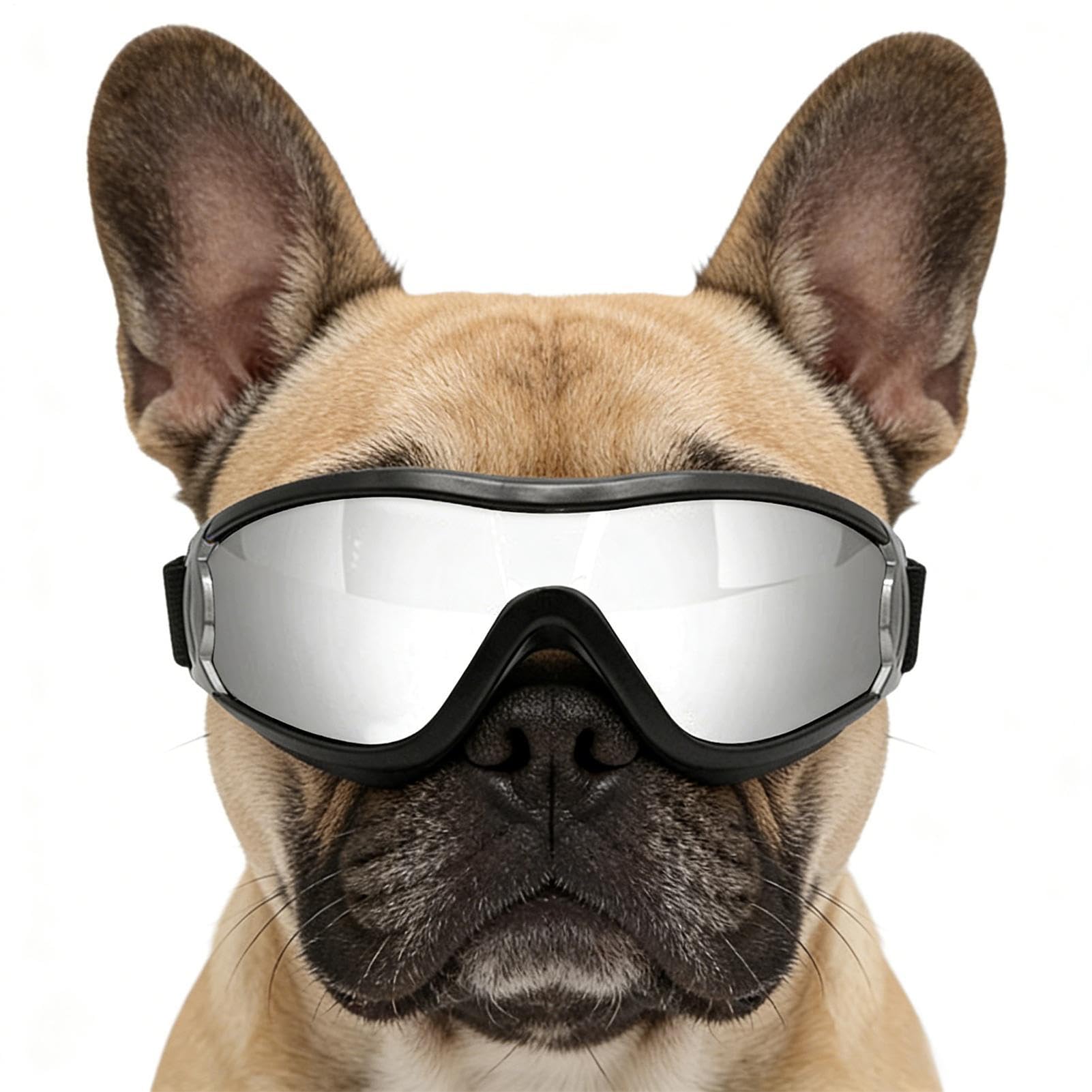 Lunettes de pour chiens anti-UV : finies les irritations de poussière en randonnée