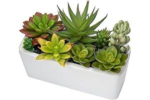 Viverie Faux Succulents in White Ceramic Pots for Desk