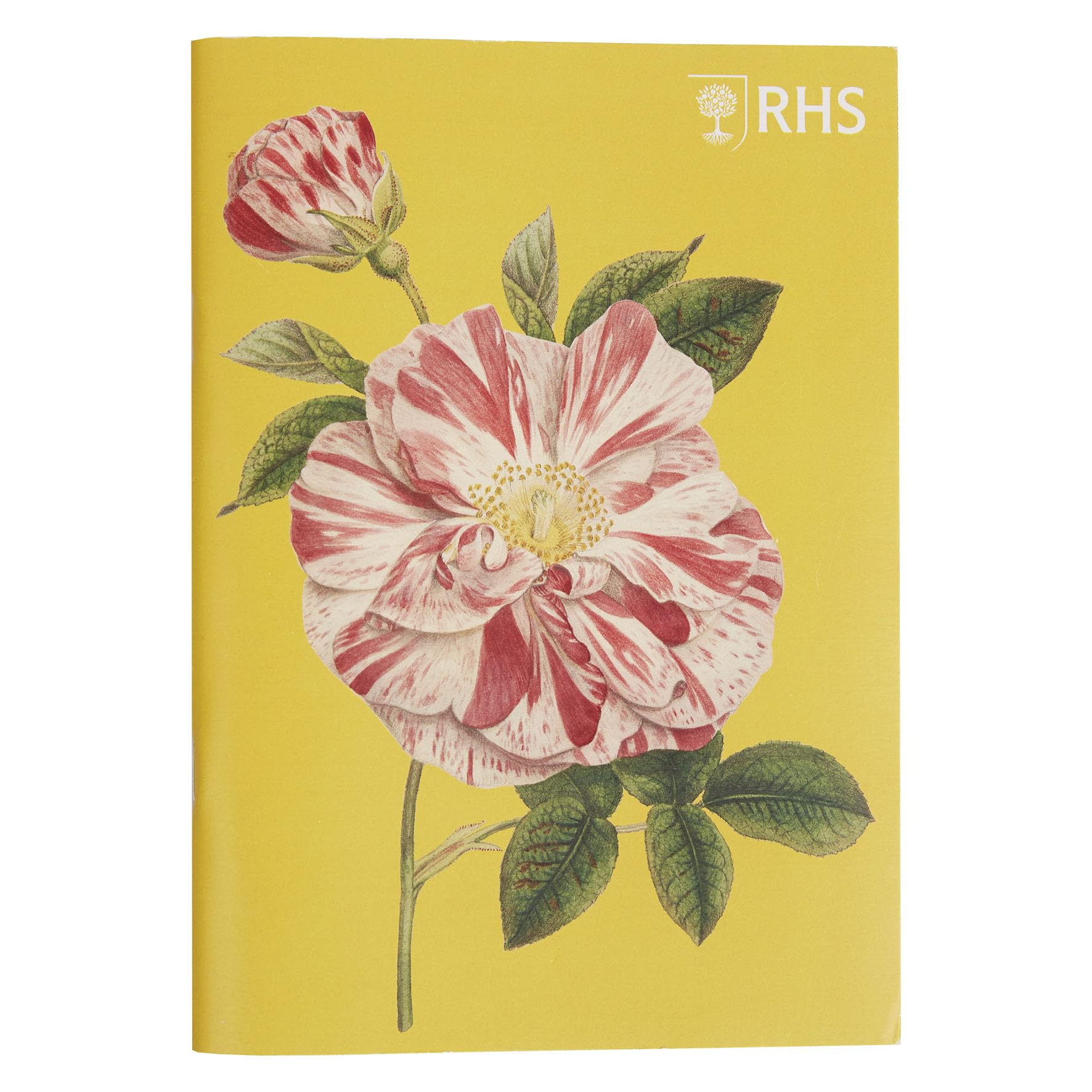 RHS The Royal Horticultural Society 40 Page Stapled Sketchbook (100gsm), Edwards, A5 Pack of 3, Multicoloured - Image 4