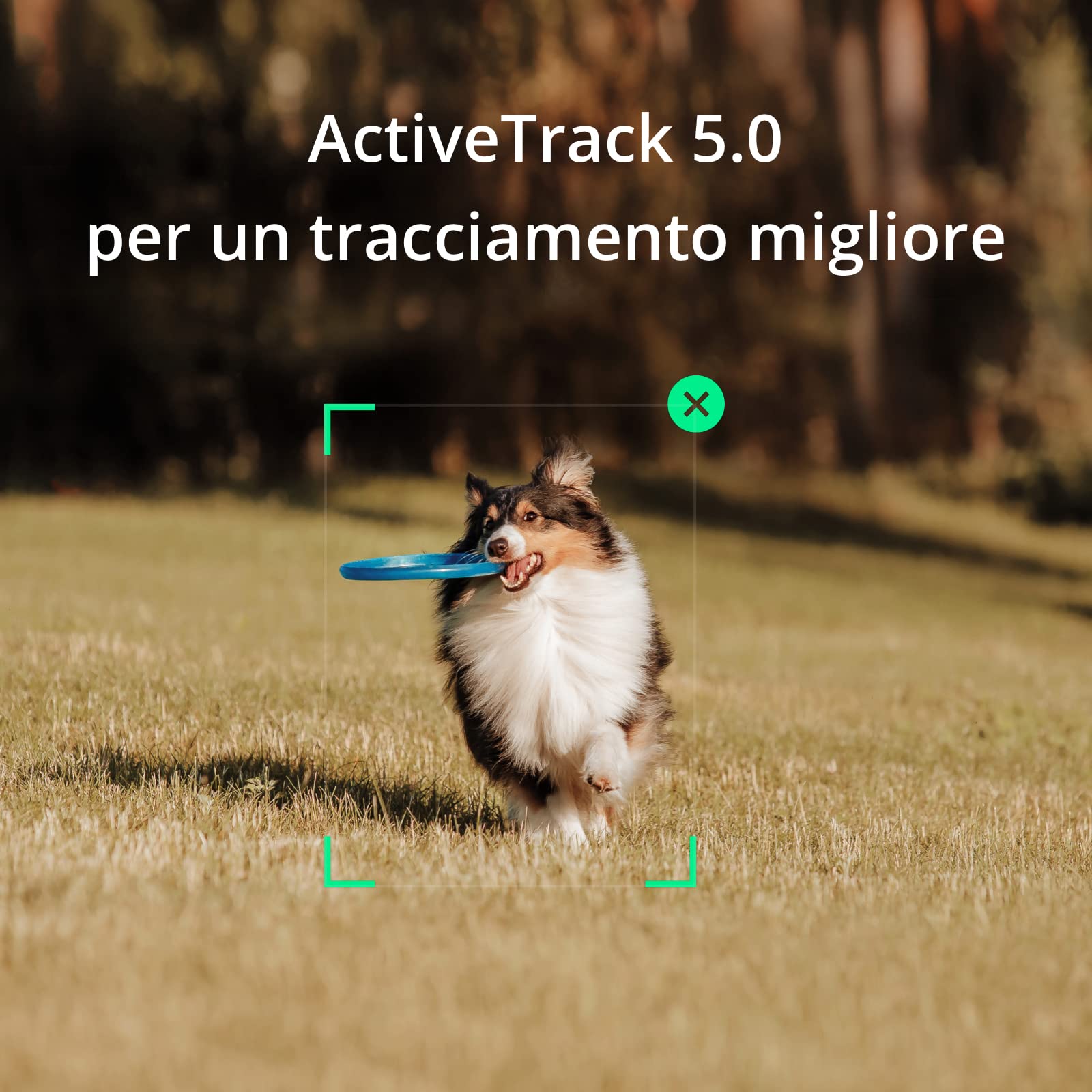 Stabilizzatore OSMO Mobile SE per Smartphone, Stabilizzatore a 3 Assi, Manico telescopico, Portatile e Pieghevole, per Android/iPhone con ShotGuides, ActiveTrack 6.0, Stabilizzatore per Vlogging