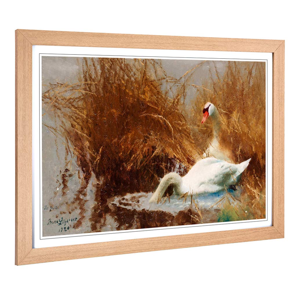 Big Box Art Framed Print of Bruno Liljefors Swans Design | Wall Art Picture | Home Decor for Kitchen, Living, Dining Room, Lounge, Bedroom, Hallway, Office, Oak, A2 / 24.5x18 Inch / 62x45cm
