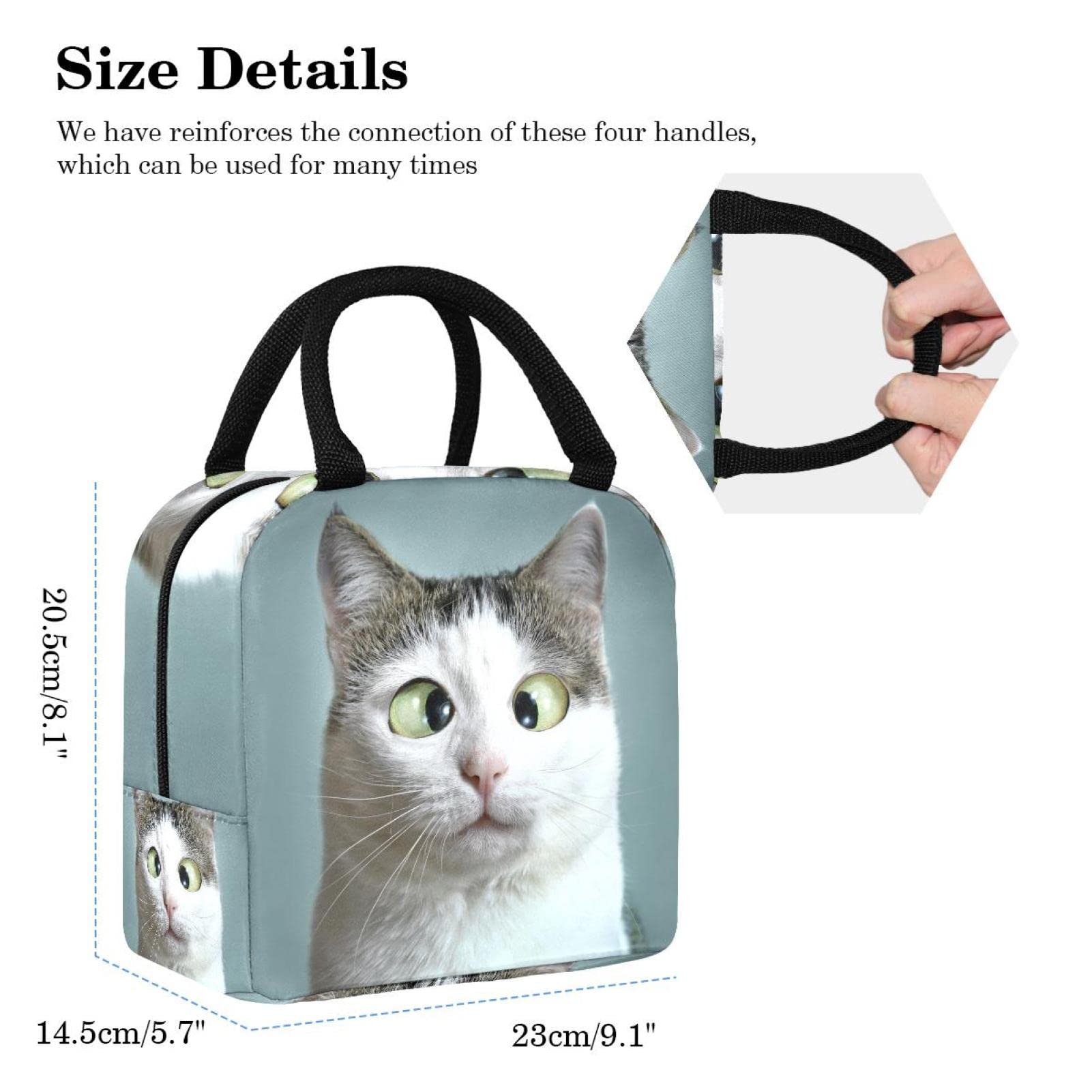 Borsa termica termica per il pranzo, con zampe di gatto, per adolescenti, ragazze, donne, a prova di perdite, impermeabile, per scuola, lavoro, picnic