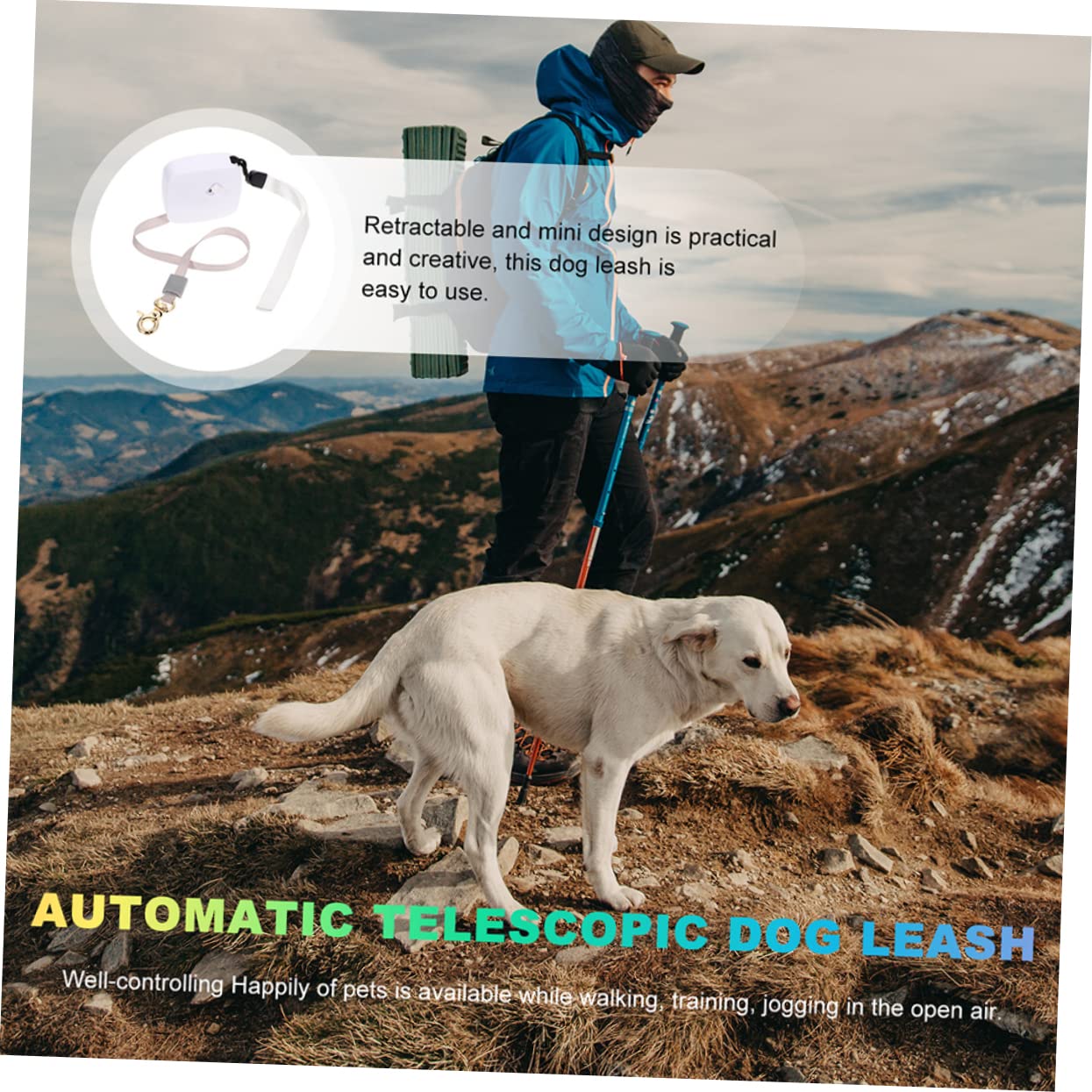 Kisangel 5 Piezas Cuerda retráctil para Perros Correa de retráctil Larga Cinta para Perros Correa para Cachorros Juguete Cuerda para con Freno de una Mano Dog Ropes