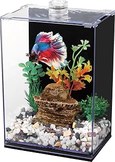 Betta Fish Tank with LED Light, 15x10x20 cm, Acrylic Aquarium with Cover and Black Wall Paper