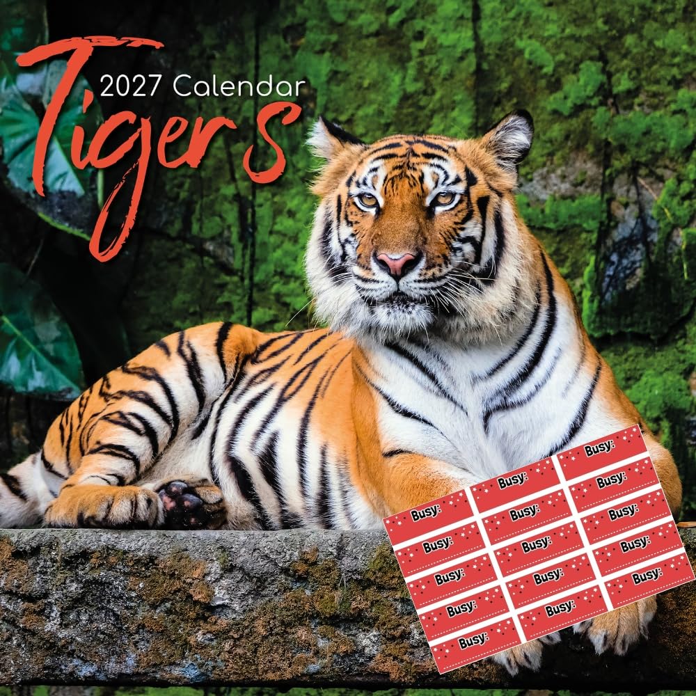 TGSC | Tigers 2027 Calendar with Planner Stickers | Home & Office Organiser