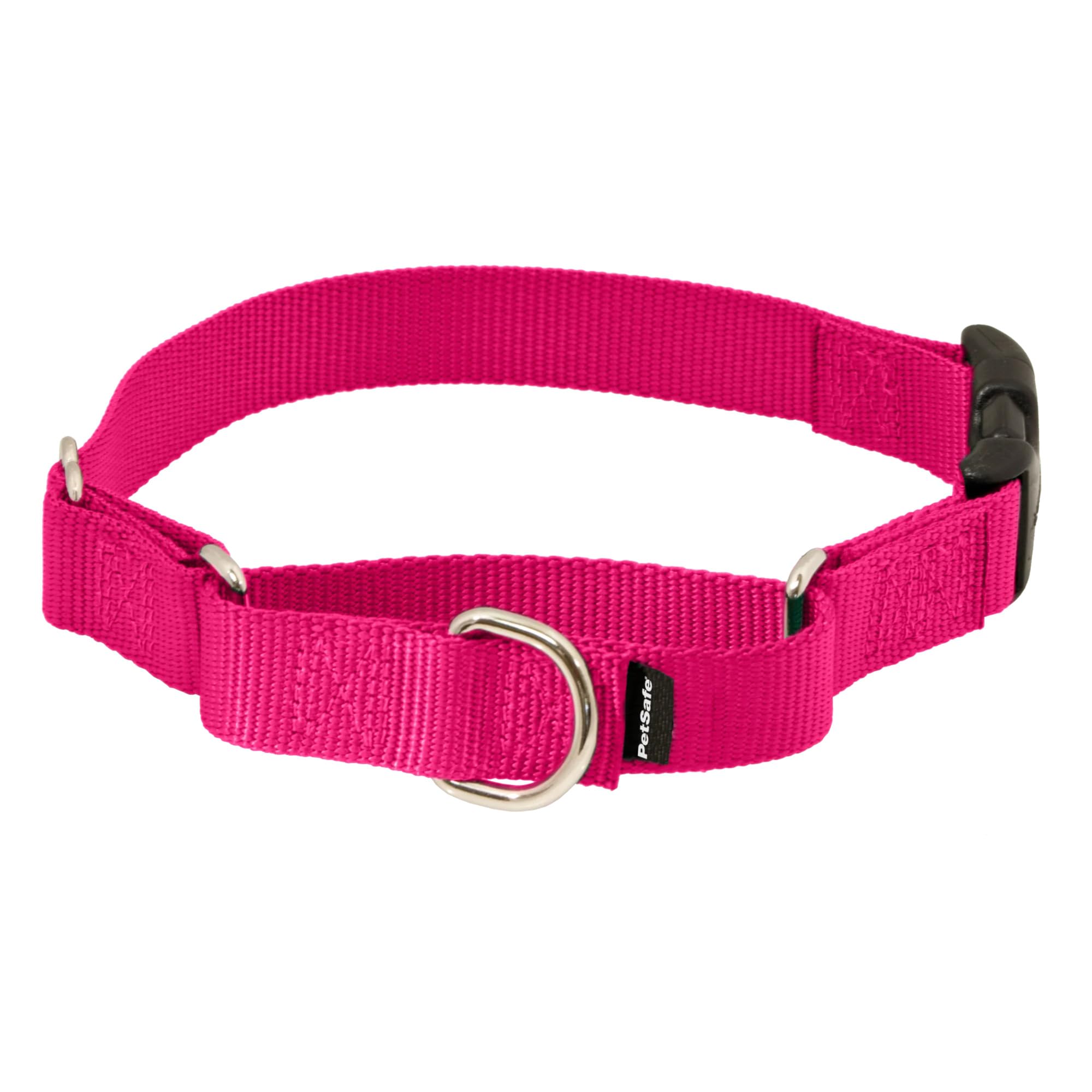 PetSafe Martingale Collar with Quick-Snap Buckle - Adjustable No-Slip Quick Release Dog Collar - Everyday Wear No-Pull Training Aid - 1" Wide - Medium - Raspberry