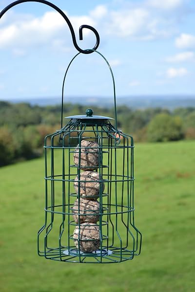 Supa Caged Fat Ball Wild Bird Feeder | Designed To Deter Squirrels And Also Larger Garden Birds Such As Pigeons And Doves. - 3