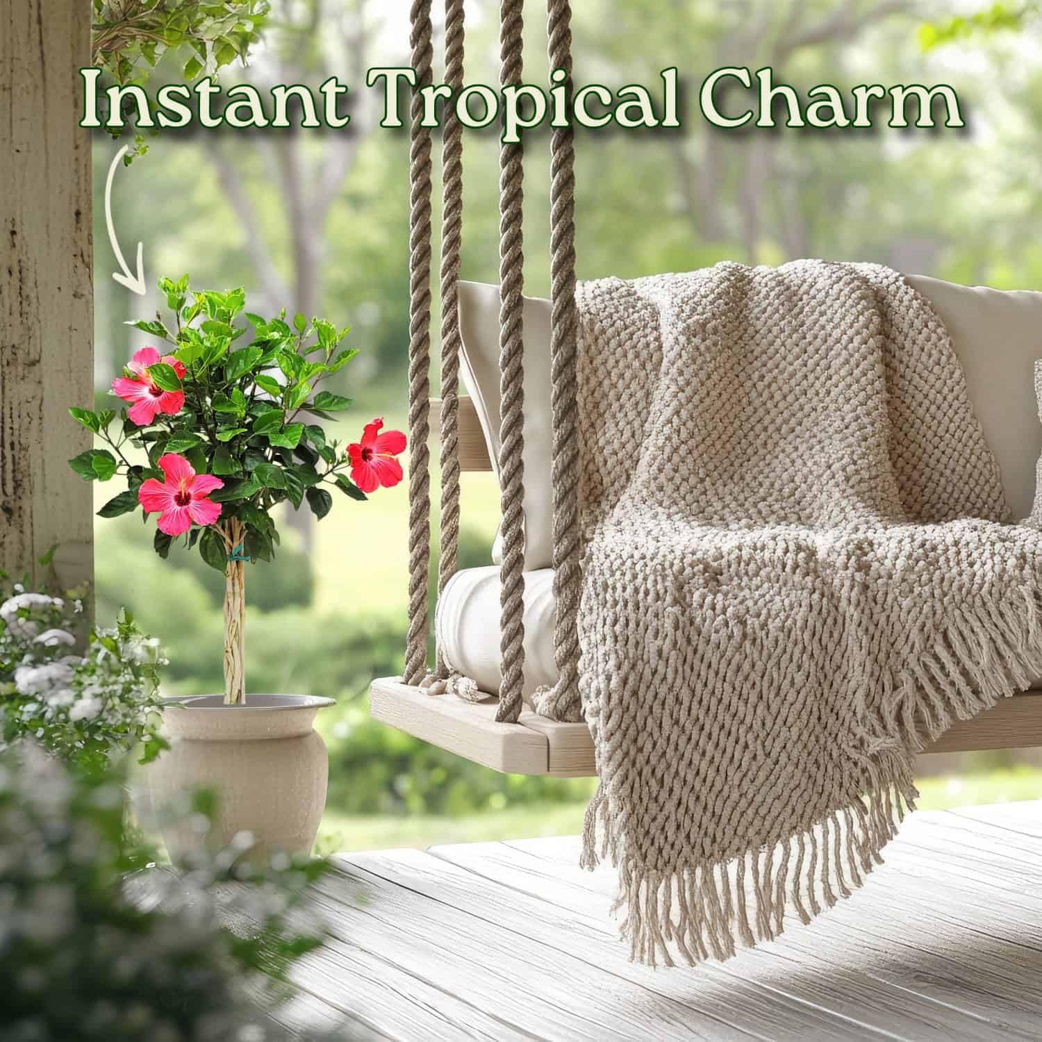Hibiscus Plants Live - Braided Hibiscus Tree - Pink Painted Lady - Overall Height 38" to 44" - Tropical Plants of Florida (Plant + Fertilizer)