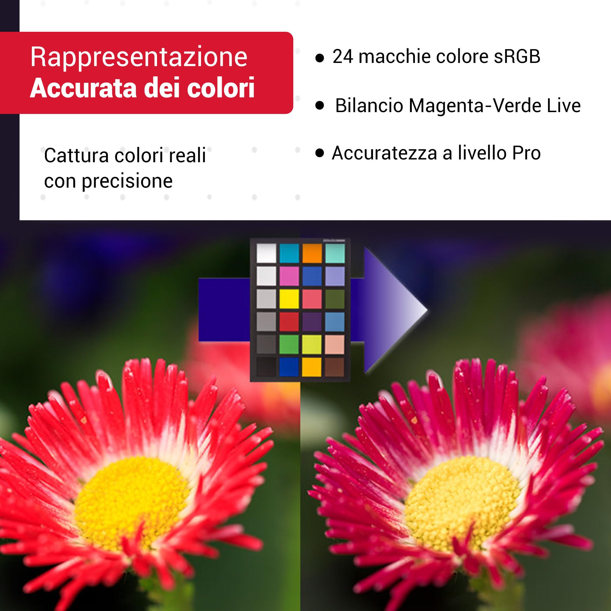 Datacolor SpyderCheckr 24 - Guida per controllo dei colori e calibrazione dei bianchi, per macchina fotografica