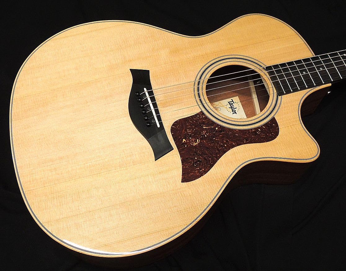 Amazon | Taylor 314ce studio special edition テイラー グランド