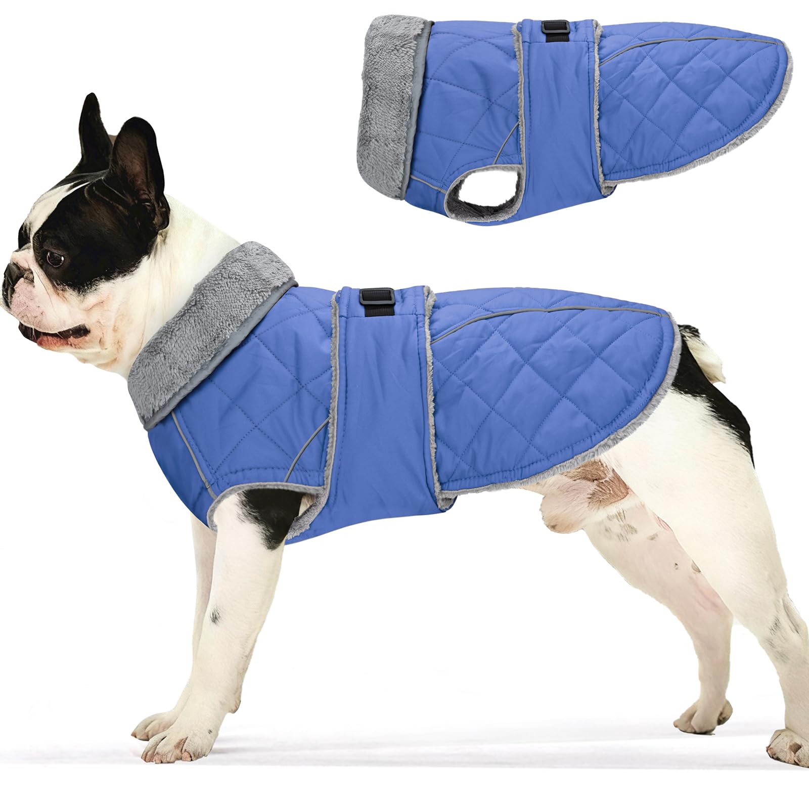 Cappotto invernale per cani con lacci (blu, S)