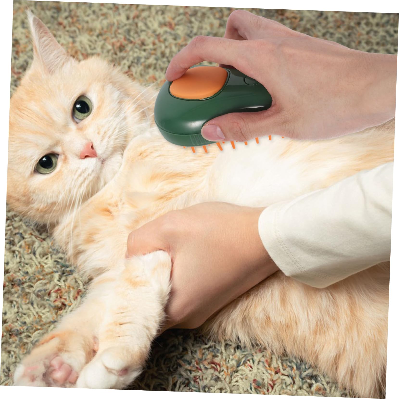 BESPORTBLE 5pièces Brosse à Vapeur Pour Chat Avocat Brosse De Massage Auto-nettoyante Pour Toilettage Apaisant Et Pratique Lors Bain Animaux De Compagnie