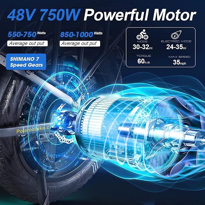 GDSEBIKE Electric Suspension Mountain Removable