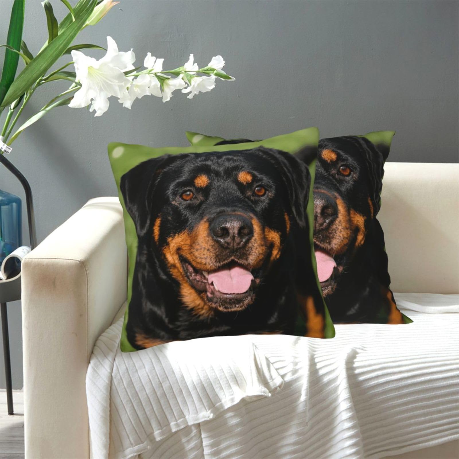 FekiLoot Decorative Throw Pillow Covers Modern Farmhouse Pillowcase Double Sided Cozy Cushion Cover for Sofa Couch Bed 20"X20" Rottweiler