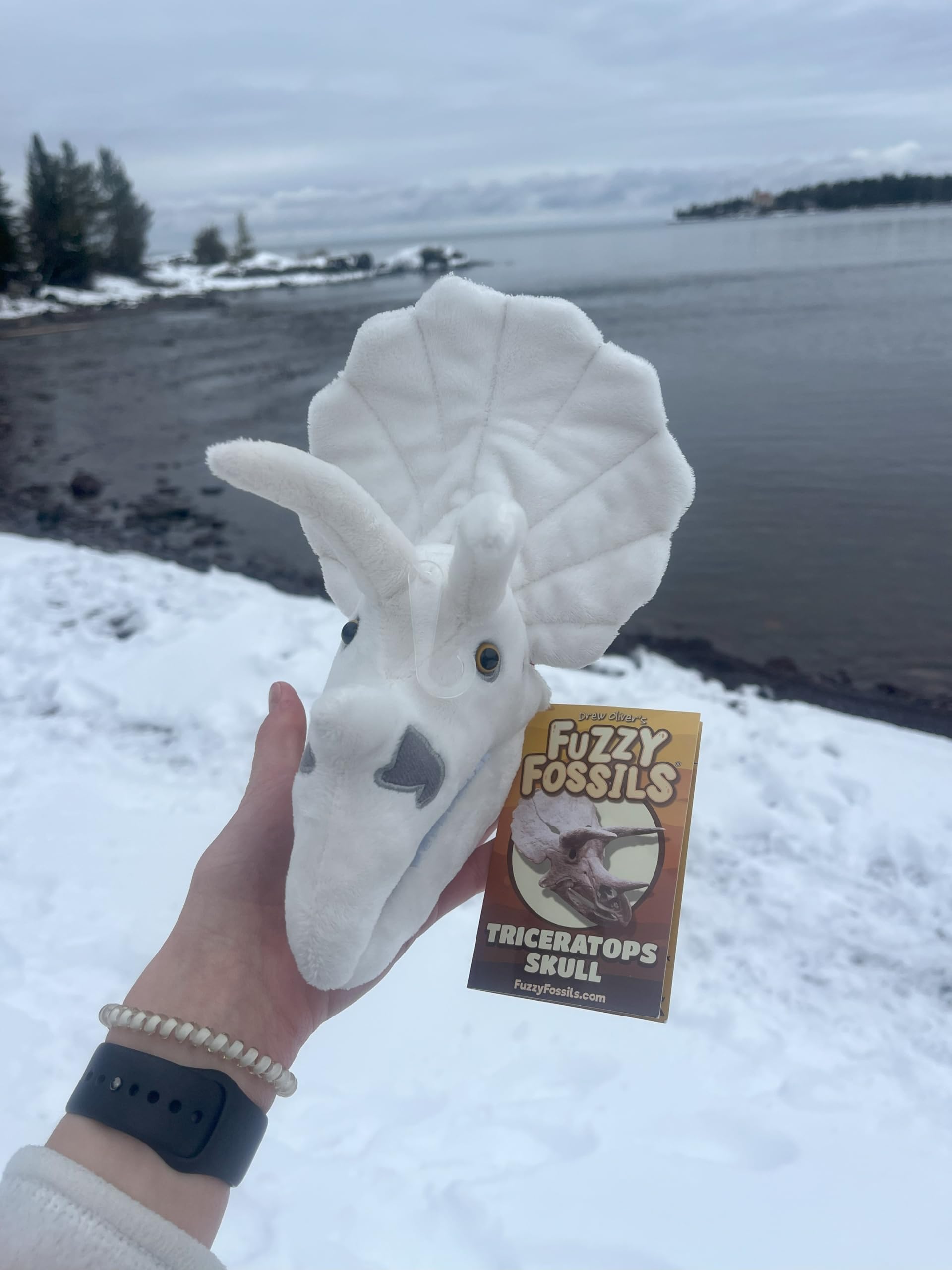 GIANT MICROBES Fuzzy Fossils Triceratops Skull Plush Dinosaur Soft Toy Kids 18cm, White, 6.5 x 6 x 5 inches - Image 4