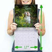 Vista 452 de Razas de Perros 2017