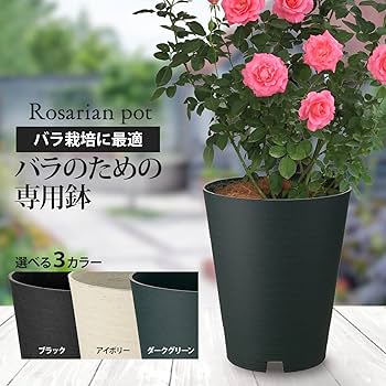 Amazon | リッチェル バラ鉢 ロザリアンポット 36型 ダークグリーン