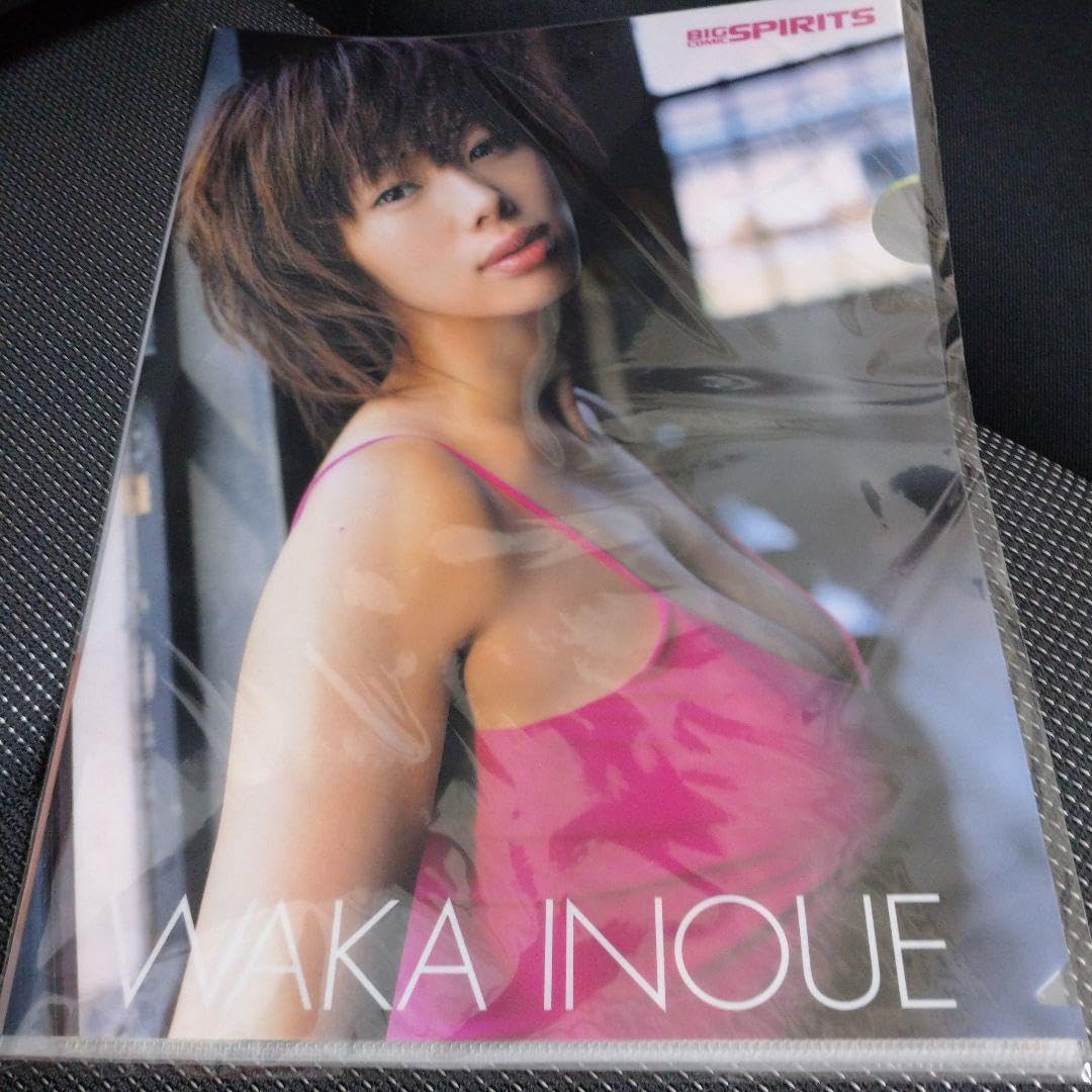 Amazon.co.jp: ビッグコミックスピリッツ井上和香クリアファイル