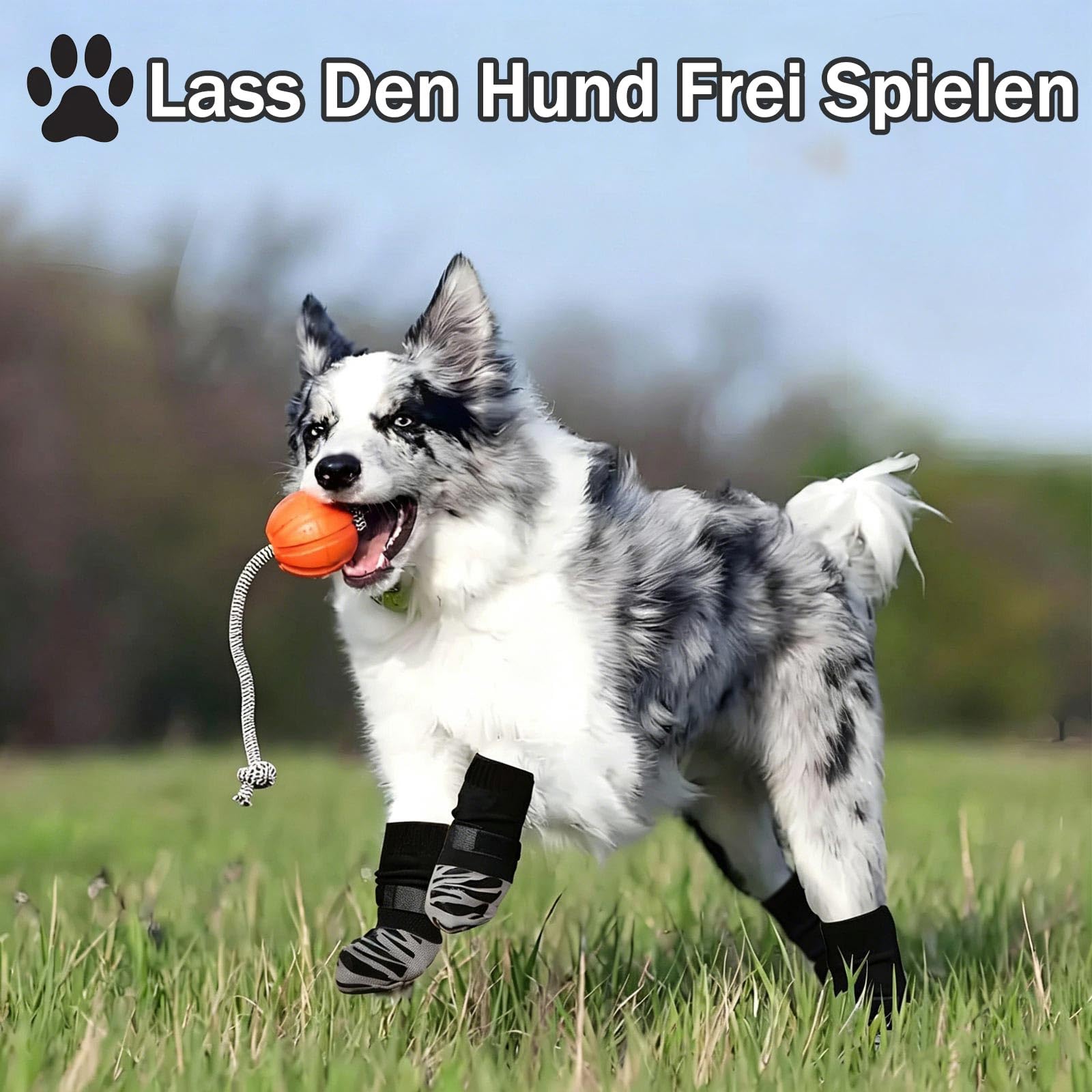 2 Paires Chaussettes Anti-léchage pour Chiens, Ensemble de pour Chiens Antidérapant, Bottes de Protection pour Chien Imperméable pour Chiens de Taille Moyenne et Grande, M