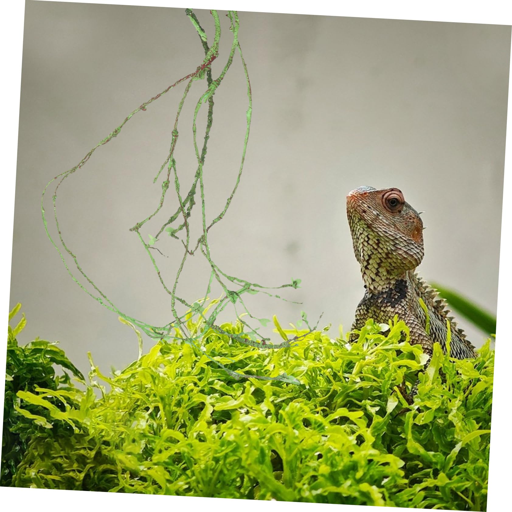BESPORTBLE Enredadera para Terrario Decorativa para Reptiles Enredadera Paisajística de Resina Resistente al Desgaste Decoración Vid para Anfibios Trepando en Hábitats Interiores