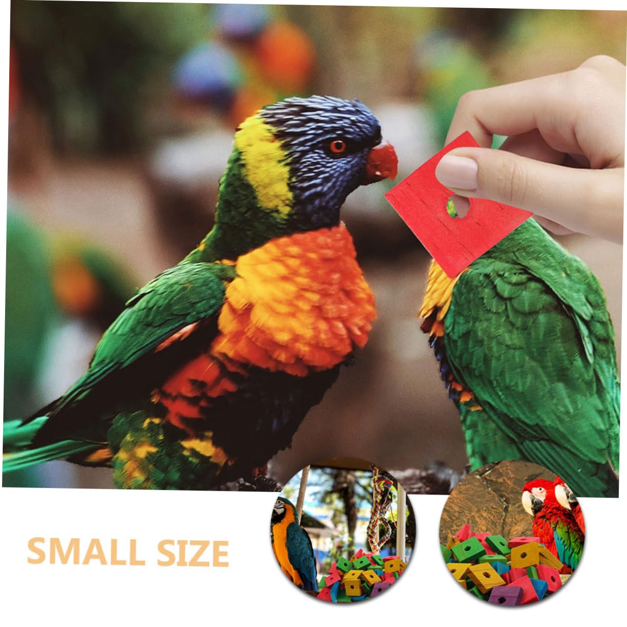 BESPORTBLE 250piezas Juguetes De Madera para Pájaros Bloques De Madera para Morder y Triturar El Periquitos y Juguetes De Entretenimiento para Aves Pequeñas