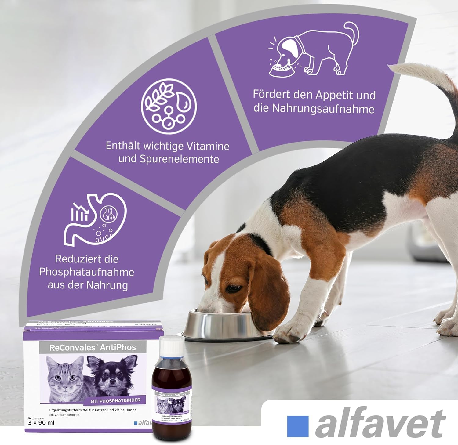 Alfavet ReConvales AntiPhos, zur Unterstützung der Nierenfunktion von Katzen und Hunden, Nahrungsergänzung mit Phosphatbinder, 3 x 90 ml Flaschen
