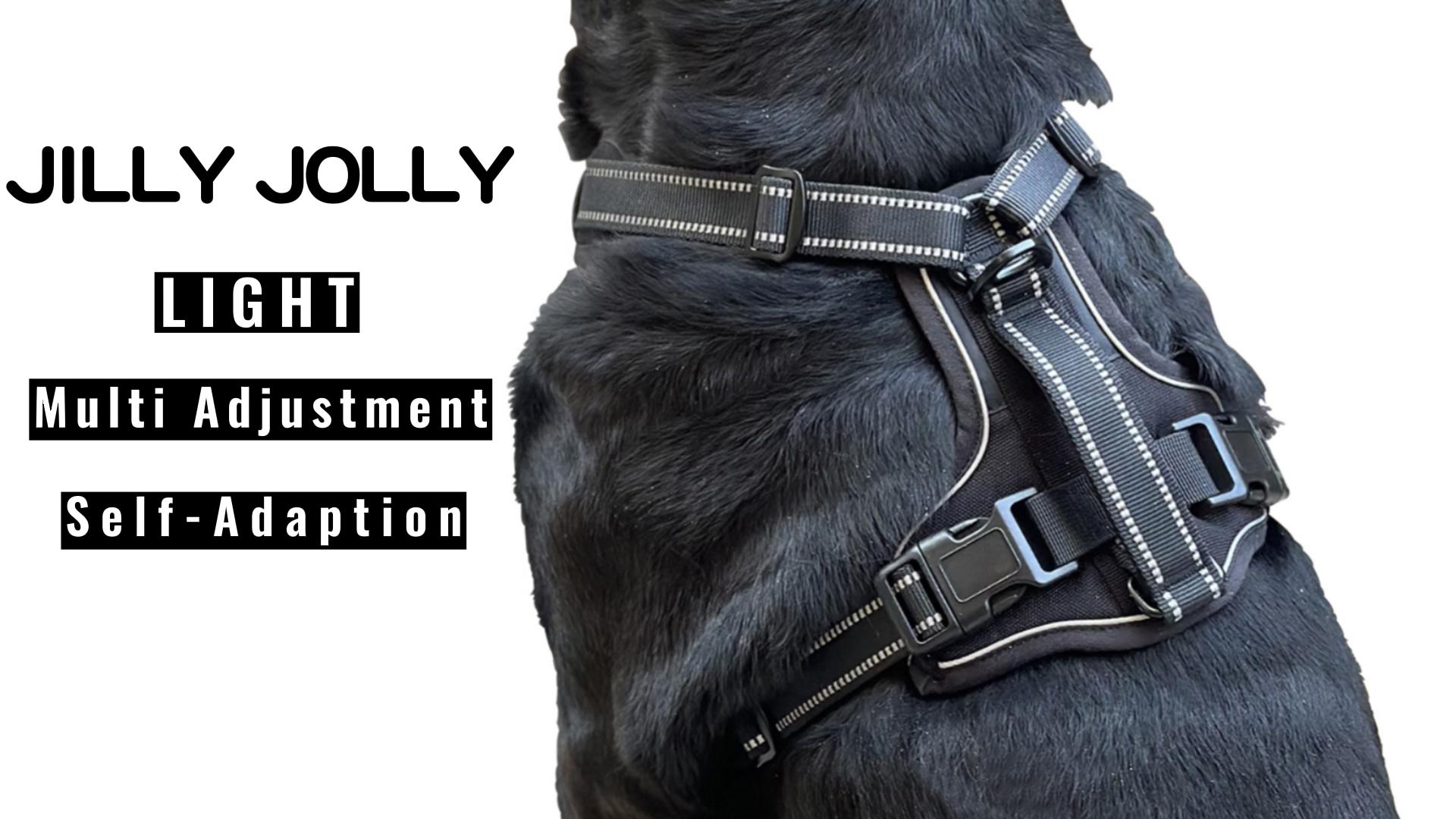 Amazon.com : JILLY JOLLY Dog Harness for Large Dogs No Pull, 90